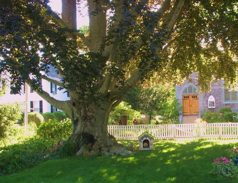 The 1720 House Bed & Breakfast Vineyard Haven Dış mekan fotoğraf